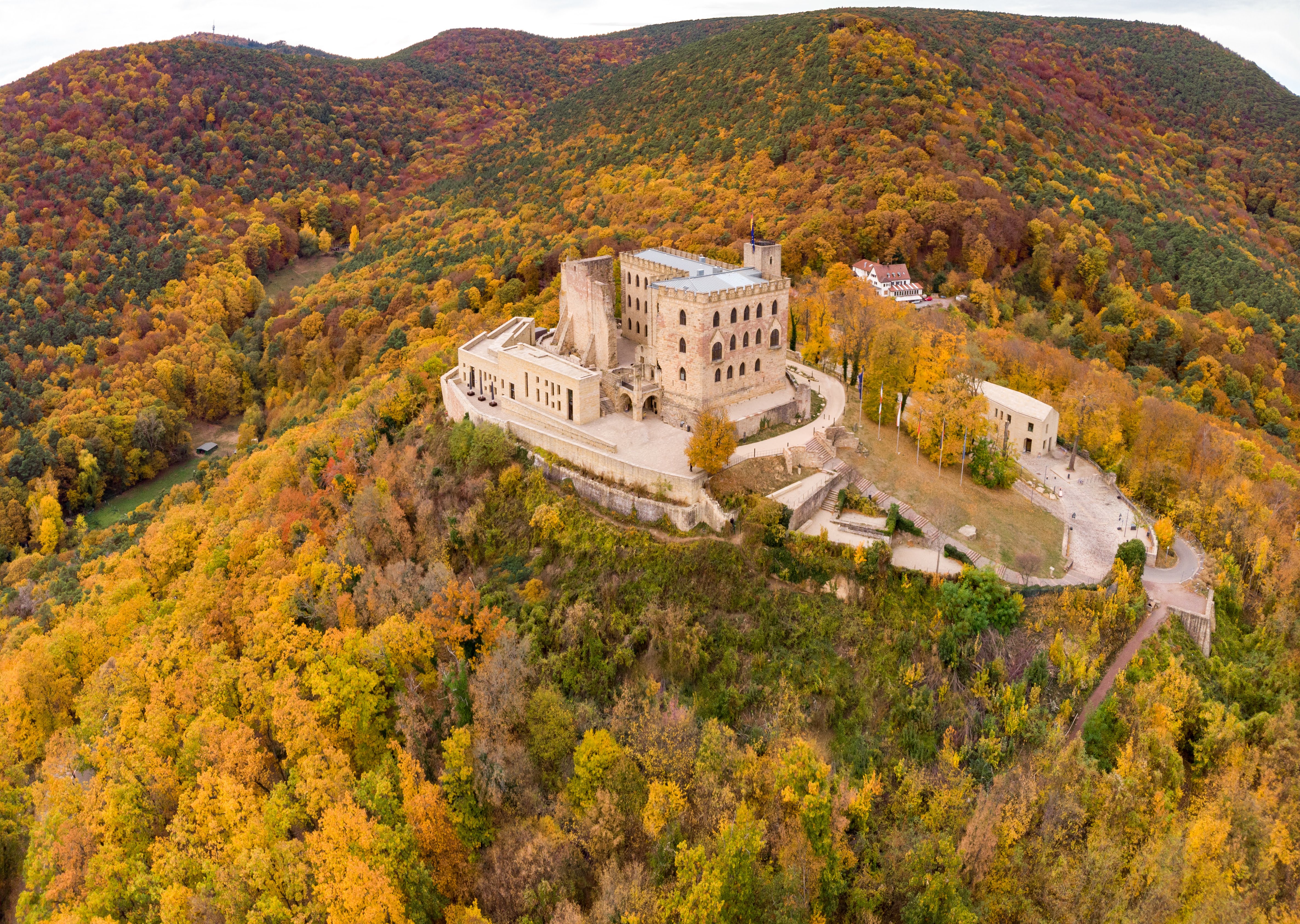 Activity Sample Image #2